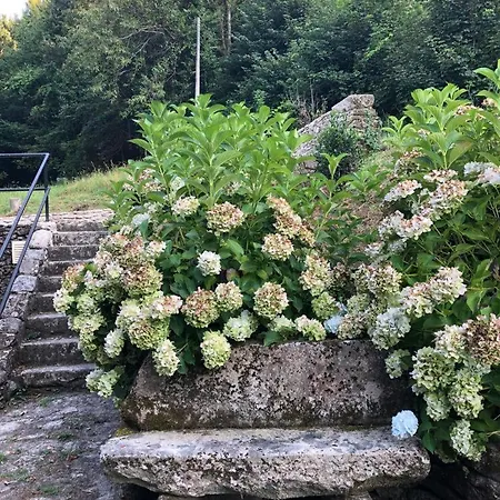 Vakantiehuis Bungalow Da Varzea Vieira do Minho